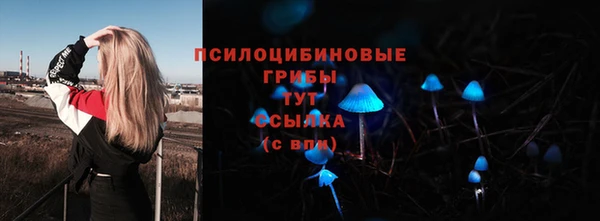трава Верея